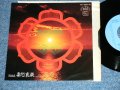 ファー・イースト・ファミリー・バンド FAR EAST FAMILY BAND - 地球空洞説 THE CAVE DOWN TO THE EARTH / 1975  JAPAN ORIGINAL Used 7" Single 