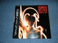 大江慎也  SHINYA OHE (ザ・ルースターズ　THE ROOSTERS)  - ヒューマン・ビーング HUMAN BEING/ 19?? JAPAN ORIGINAL LP With OBI   