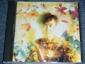 伊藤銀次 GINJI ITO - ドリーム・アラベスク DREAM ARABESQUE / 1989 JAPAN ORIGINAL 1st Press Used CD 