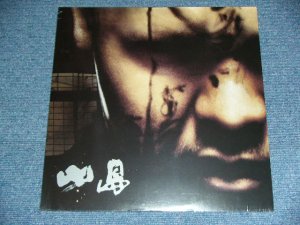 画像1: 小島　KOJIMA - パンキッシュ・ロック・フュ-チャ-　PUNKISH ROCK FUTURE / 2000 JAPAN ORIGINAL Brand New SEALED LP