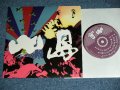 小島　KOJIMA - フラストレ-ション・デッド・モ-ニング FLASTRAION DEAD MORNING / 2000 JAPAN ORIGINAL Brand New 7" Single 