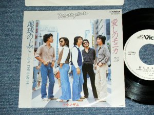 画像1: トランザムTRANZAM - 愛しのモニカ ITOSHINO MONICA. / 1979 JAPAN ORIGINAL WHITE LABEL PROMO Used 7" Single 