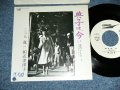 三上　寛 KAN MIKAMI - 典子、今　〜愛のテーマ〜NORIKO WA IMA / 1981 JAPAN ORIGINAL White Label PROMO  7" Single 