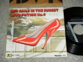 ミッキー・カーティス&ポーカーフェイス MIKI CURTIS & POKER FACE - 夕日に赤い帆 RED SAILS IN THE SUNSET (Ex++/Ex+++ )  / 1976 JAPAN ORIGINAL Promo  7" Single