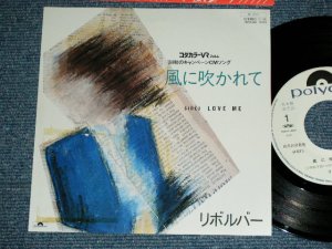 画像1: リボルバーREVOLVER - 風に吹かれて KAZE NI FUKARETE / 1984 JAPAN ORIGINAL White Label PROMO Used  7"Single