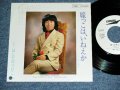 はしだのりひこ NORIHIKO HASHIDA  - 嫁っこは、いねえか YOMEKKO WA,INEKA / 1979 JAPAN ORIGINAL White label PROMO Used 7" SINGLE 