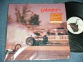 プレイグス PLAGUES - ラウド・メアリー LOUD MARY / 1998 JAPAN ORIGINAL Limited Press Used LP 