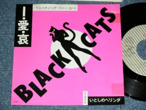 画像1: ブラック・キャッツ　BLACK CATS - I・愛・哀  / 1982 JAPAN ORIGINAL Promo Used 7" Single 