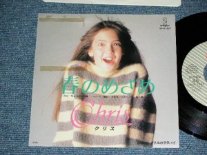画像1: クリス CHRIS -春のめざめ (柴山俊之、PANTA, KURO,西岡恭蔵) / 1984 JAPAN ORIGINAL PROMO Used  7"45 Single  