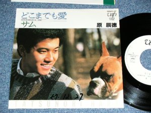 画像1: 原辰徳 TATSUNORI HARA -  どこまでも愛 / 1982 JAPAN ORIGINAL White Label PROMO  Used 7" Single 