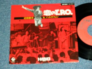 画像1: 近田春夫＆ハルヲフォン HARUO CHIKADA & HARUOPHONE   - 恋のT.P.O. ( Rare SINGLE VERSION :  Ex++/Ex+++,Ex+  ) / 1976 JAPAN ORIGINAL Used 7" シングル