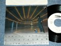 井上鑑 AKIRA INOUE - レティシア LAETITIA / 1982 JAPAN ORIGINAL "WHITE LABEL PROMO" Used 7" シングル Single 