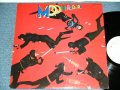 ムーンライダーズ MOONRIDERS MOON RIDERS -  MOONRIDERS ( Ex++/MINT- ) / 1977 JAPAN ORIGINAL "WHITE LABEL PROMO" Used  LP 