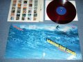 亀井信夫とザ・スぺイスメン KAMEI NOBUO & THE SPACEMEN - ハワイアン・サーフ・ギター HAWAIIAN SURF GUITAR ( Ex++/Ex )  / 196?  JAPAN ORIGINAL "RED WAX VINYL"  Used LP  