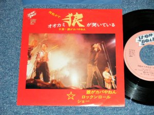 画像1: 誰がカバやねんロックン・ロール・ショー DAREGA KABAYANEN ROCK 'N' ROLL SHOW -  何処かでオオカミが哭いている (Ex++/Ex+++ ) / 1979? JAPAN ORIGINAL Used 7"  Single シングル
