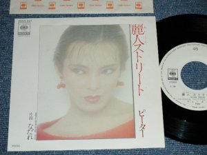 画像1: ピーター PETER - 麗人ストリート: ( MINT-/MINT )  / 1979 JAPAN ORIGINAL "WHITE LABEL PROMO"   Used 7" Single