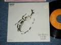 かぶと虫　KABUTO MUSHI - 白い貝がら ( Ex+++/Ex+++ )  / 1975 JAPAN ORIGINAL Used 7" シングル Single 