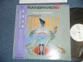 辛島文雄 FUMIO KARASHIMA  -  トランスパーラント TRANSPARENT( Ex+++/MINT) / 1987 JAPAN ORIGINAL "WHITE LABEL PROMO"  Used LP With OBI  
