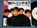 ヒルビリー・バップス HILLBILLY BOPS -   激的バーニング・ラブGEKITEKI BURNING LOVE(MINT-/MINT)/ 1986 JAPAN ORIGINAL PROMO Used 7" Single 