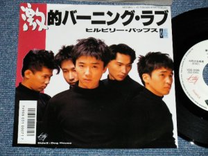 画像1: ヒルビリー・バップス HILLBILLY BOPS -   激的バーニング・ラブGEKITEKI BURNING LOVE(MINT-/MINT)/ 1986 JAPAN ORIGINAL PROMO Used 7" Single 