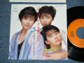 セブンティーン・クラブ SEVENTEEN CLUB - バージン・クライシス VIRGIN CRISIS (Ex++/MINT-)  / 1985   JAPAN ORIGINAL  Used 7"SINGLE