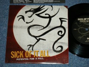 画像1: シック・オブ・イット・オール SICK OF IT ALL - POTENTIAL FOR A FALL (MINT-/MINT-) / 1998 JAPAN ORIGINAL "INDIES"  Used 7" EP 