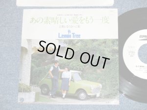 画像1: レモン・トリー LEMON TREE ( 合沢尚子　＆　水城英明　NAOKO AIZAWA & HIDEAKI MIZUSHIRO ) - あの素晴しい愛をもう一度 (Ex+++/MINT-)　/ 1981  JAPAN ORIGINAL "WHITE LABEL PROMO" Used 7"45 Single 