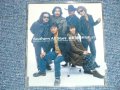 サザン・オールスターズ SOUTHERN ALL STARS - 素敵な夢を叶えましょう ( PROMO ONLY) ( MINT/MINT)  / 1998 JAPAN ORIGINAL "PROMO ONLY" Used  3" CD Single 