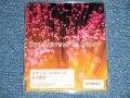 サザン・オールスターズ SOUTHERN ALL STARS - 唐人物語( PROMO ONLY) ( MINT/MINT)  / 1998 JAPAN ORIGINAL "PROMO ONLY" Used  3" CD Single 