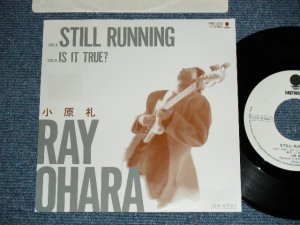 画像1: 小原　礼 RAY OHARA - STILL RUNNING ( PROMO Only ) (Ex/MINT-) / 1988 JAPAN ORIGINAL "PROMO ONLY"  Used 7" シングル Single 