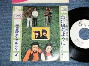 画像1: 平田隆夫＆セルスターズ TAKAO HIRATA & SELSTARS - 急げかぜのように from フジＴＶ「浮世絵女ねずみ小僧」主題歌 ( Ex+/Ex+++ ) / 1972 JAPAN ORIGINAL "WHITE LABEL PROMO" Used 7" シングル
