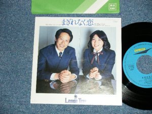 画像1: レモン・トリー LEMON TREE ( 合沢尚子　＆　水城英明　NAOKO AIZAWA & HIDEAKI MIZUSHIRO ) - まぎれなく恋 ( MINT-/MINT-)　/ 1981  JAPAN ORIGINAL  Used 7"45 Single 
