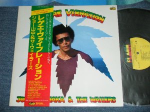 画像1:  ジョー山中 JOE YAMANAKA w/ザ・ウエイラーズ THE WAILERS　ｏｆ ボブ・マーリィBOB MARLEY (フラワー・トラヴェリン・バンド FLOWER TRAVELLIN' BAND )  - REGGAE VIBRATION ( Ex++/MINT-) / 1982 JAPAN ORIGINAL  Used LP  with OBI 
