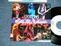 ノヴェラ NOVELA  - ジェラシー JEALOUSY (Ex++/MINT- , Ex+++) / 1980 JAPAN ORIGINAL "WHIE LABEL PROMO" Used 7"Single V