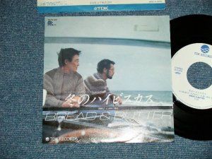 画像1: ブレッド　＆バター　BREAD & BUTTER - 冬のハイビスカス  ( Ex++/Ex++ )  / 1982 JAPAN ORIGINAL "WHITE LABEL PROMO" Used  7" Single 