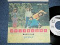 ラニアルズ The RANIALS - ロケットをとばそう ( Ex+++/MINT-)  / 1972 JAPAN ORIGINAL "WHITE LABEL PROMO"  Used  7" Single 