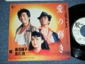 OST サウンド・トラック　唄：桑名晴子 & 加川 良 OST : HARUKO KUWANA & RYO KAGAWA - 「犬死にせしもの」テーマ”愛の輝き”[ INUJINI SESIMONO] MASIN THEME 'AI NO KAGAYAKI' (Ex+++/MINT-)  / 1986 JAPAN ORIGINAL "White Label PROMO" Used 7"Single 