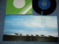 りりィ LILY - まだ名前のない歌 CARINA THEME MUSIC ( MINT/MINT )   /  1970's  JAPAN ORIGINAL "PROMO Only" Used  7" Single 