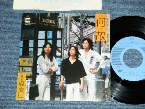 画像1: シーガルSEA GUARL -  何故(TV THEME 「かたぐるま」) ( 阿久　悠 大野　克夫 ワークス)(Ex+++/MINT-)  / 1979  JAPAN ORIGINAL Used  7" 45 Single 