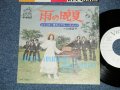 ジャッキー吉川とブルー・コメッツ JACKEY YOSHIKAWA & HIS BLUE COMETS 唄：山根宮子 MIYAKO YAMANE - 雨の晩夏 ( Ex+++/MINT-)  /  1974  JAPAN ORIGINAL "White Label Promo" Used 7" Single 
