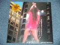 シーナ＆ザ・ロケッツ　SHEENA & THE ROKKETS - ROCK THE ROCK (SEALED)  / 2000 JAPAN ORIGINAL "BRAND NEW SEALED" LP