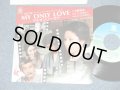 ost 大野　克夫　KATSUO OHNO -  MY ONLY LOVE  マイ・オンリー・ラブ 英語版＆日本語版 (映画「鍵」テーマ・ソング) ( Ex+++/MINT- ) / 1983 JAPAN ORIGINAL Used  7"Single
