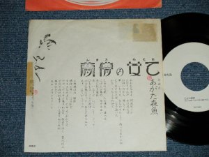 画像1: あがた森魚　MORIO AGATA -乙女の儚夢 OTOME NO ROMAN ( Ex/Ex+++ STAMPOFC ） / 1970's JAPAN ORIGINALPromo Only 7" シングル
