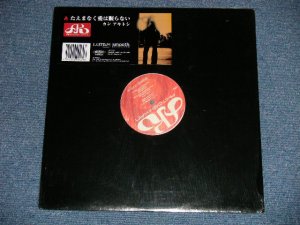 画像1: カン・アキトシ KAN AKITOSHI  - たえまなく愛は眠らない( MINT/MINT-) / 1998 JAPAN ORIGINAL Used 12" Single 