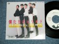 ヒルビリー・バップス HILLBILLY HILL BILLY BOPS -  僕たちのピリオド　BIKUTACHI NO PIRIOD  (  Ex+++/Ex++ Looks:Ex+) / 1987 JAPAN ORIGINAL "WHITE LABEL PROMO"  Used 7" SingleみんＴ－・みんＴ