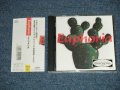 EUPHORIA  ユーフォリア - EUPHORIA  ユーフォリア  ( MINT-/MINT )  / 1989  JAPAN ORIGINAL "PROMO" Used CD with OBI 