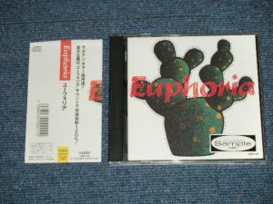 画像1: EUPHORIA  ユーフォリア - EUPHORIA  ユーフォリア  ( MINT-/MINT )  / 1989  JAPAN ORIGINAL "PROMO" Used CD with OBI 