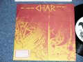 チャー　CHAR  -  BLACK SHOES ブラック・シューズ ( Ex++/Ex++  Looks:Ex+, MINT-)　/ 1988 JAPAN ORIGINAL "PROMO ONLY" Used 7" Single 