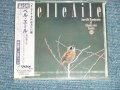 神山順一とシャン・デ・フォレ JUN-ICHI KAMIYAMA et Chants des Forets - ベル・エール BELLE AILE ( SEALED ) /  1994 JAPAN ORIGINAL "PROMO" "Brand New SEALED"  CD  Found Dead Stock 
