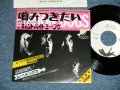 ムーンドッグス MOON DOGS - 噛みつきたい（抱きしめたい）I WANT TO HOLD YOUR PAW (I WANT TO HOLD YOUR HAND) : CAN'T BUY ME LOVE  (MINT-/MINT-)/ 1982 JAPAN ORIGINAL  Used 7" Single シングル